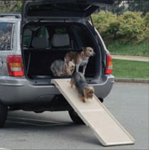 Pet step ramp- animal equipment aces